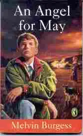 Picture of An Angel For May book cover
