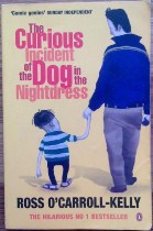 Picture of The Curious Incident of the Dog in the Nightdress Book Cover