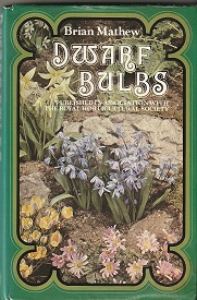 Picture of Dwarf Bulbs