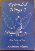 Picture of Extended Wings 2 book cover