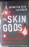 Picture of The Skin Gods book cover