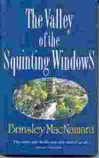 Picture of The Valley of the Squinting Windows Cover